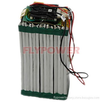 42 V 12ah LiFePO4 Battery Pack (FlyPower model FLFP-42120E1)